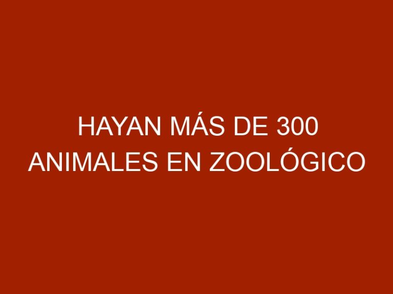 Hayan más de 300 animales en zoológico clandestino del Zulia