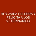 Hoy AVISA celebra y felicita a los Veterinarios en su día