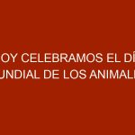 Hoy celebramos el Día Mundial de los Animales