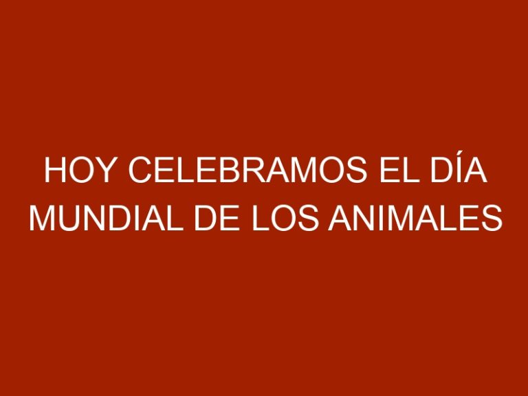 Hoy celebramos el Día Mundial de los Animales