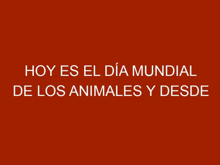 Hoy es el Día Mundial de los Animales y desde AVISA lo celebramos