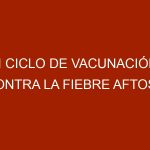 II Ciclo de vacunación contra la Fiebre Aftosa, Rabia y Brucelosis inició en Trujillo
