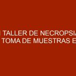 II Taller de necropsia y toma de muestras en cerdos en Maracay