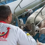 INSAI moderniza sus sistemas para optimizar trámites zoosanitarios y fitosanitarios del sector productivo en Venezuela