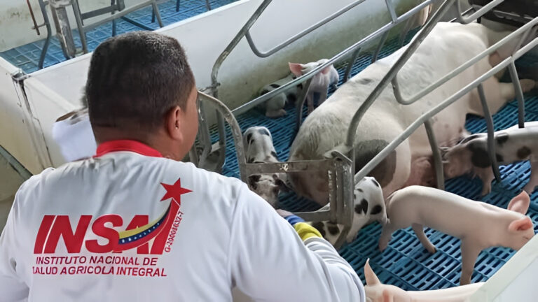 INSAI moderniza sus sistemas para optimizar trámites zoosanitarios y fitosanitarios del sector productivo en Venezuela