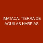 Imataca: Tierra de Águilas Harpías