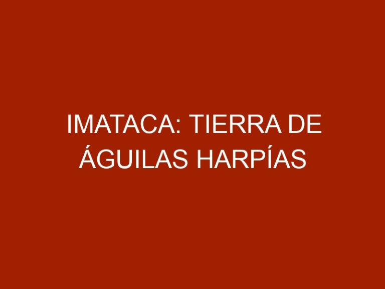 Imataca: Tierra de Águilas Harpías