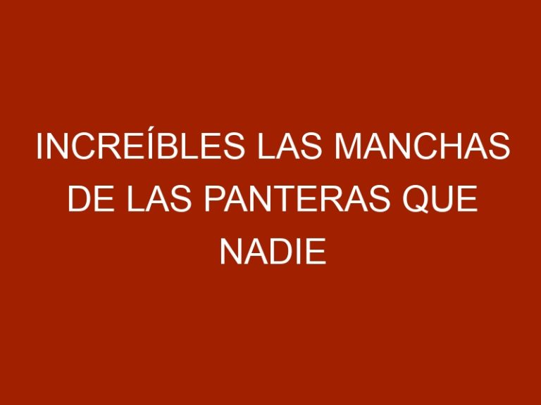Increíbles las manchas de las panteras que nadie puede ver
