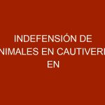 Indefensión de animales en cautiverio en Venezuela