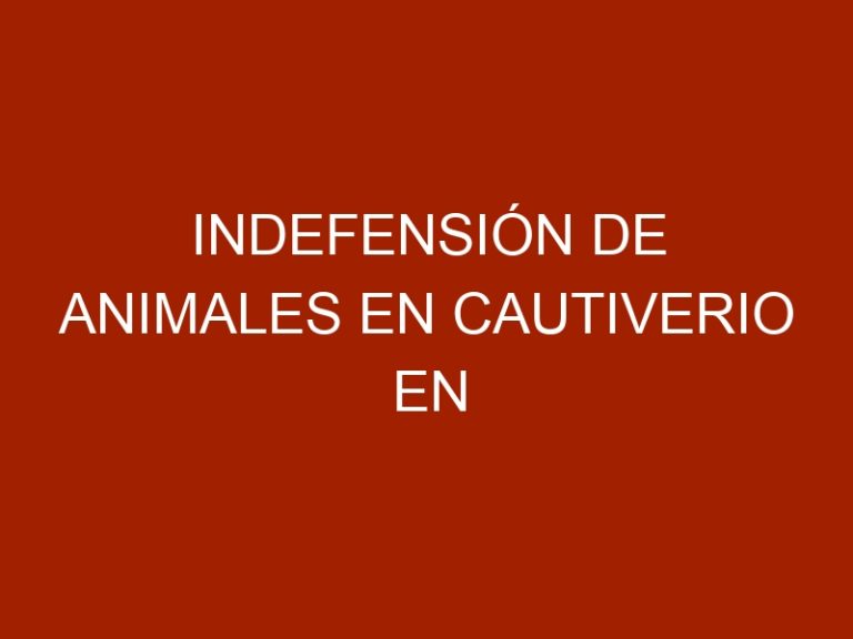 Indefensión de animales en cautiverio en Venezuela