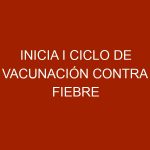 Inicia I Ciclo de Vacunación contra Fiebre Aftosa en medio del estado de alarma por COVID-19