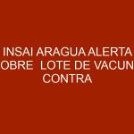 INSAI Aragua alerta sobre  lote de vacuna contra Brucelosis Bovina No autorizada