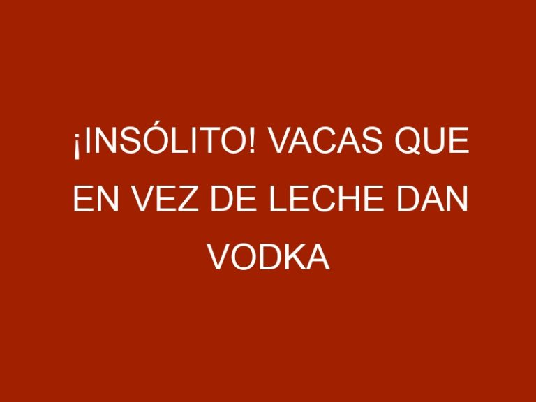 ¡Insólito! Vacas que en vez de leche dan vodka