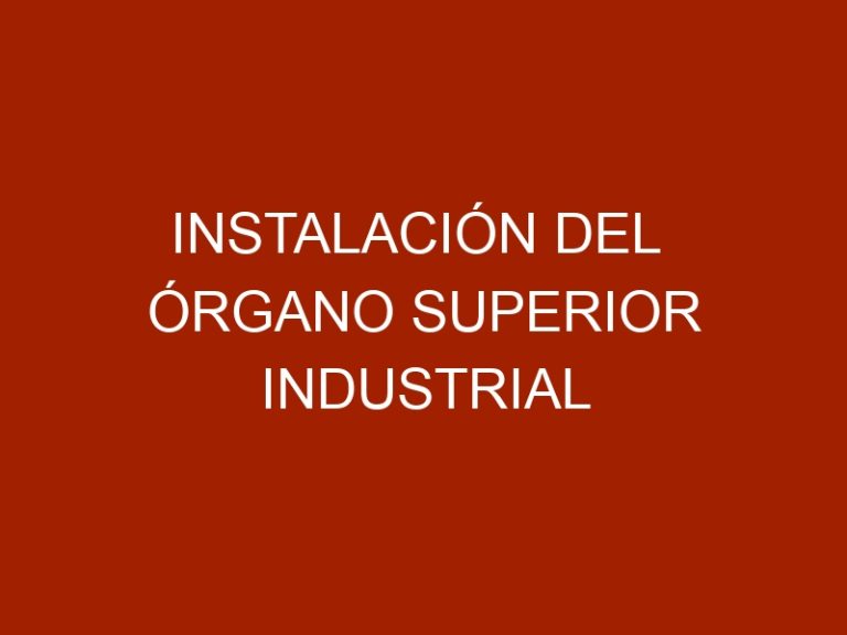 Instalación del Órgano Superior Industrial Regional Aragua