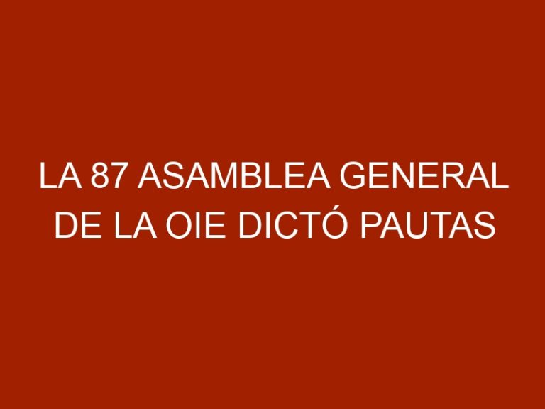 La 87 Asamblea General de la OIE dictó pautas para avanzar hacia el futuro de la Salud Animal mundial