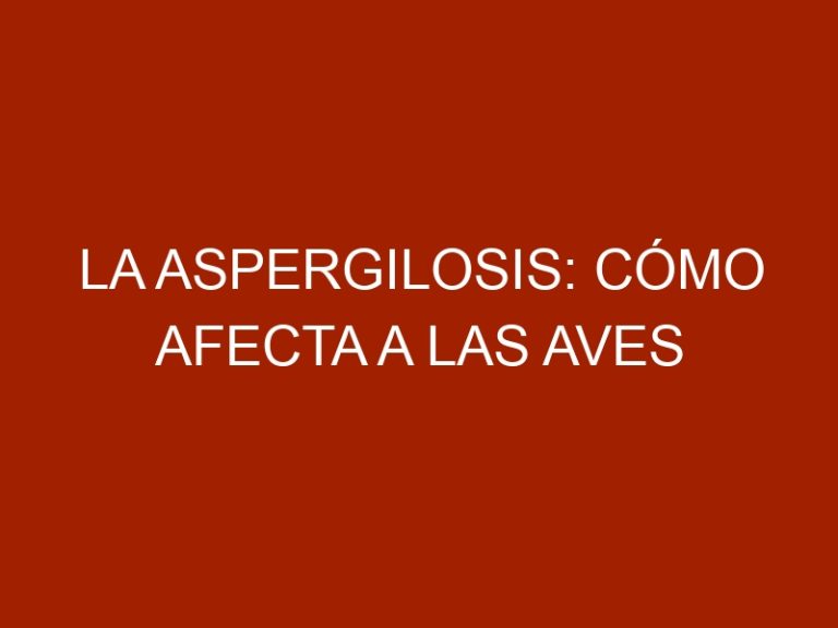 La aspergilosis: cómo afecta a las aves domésticas y silvestres
