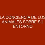 La conciencia de los animales sobre su entorno
