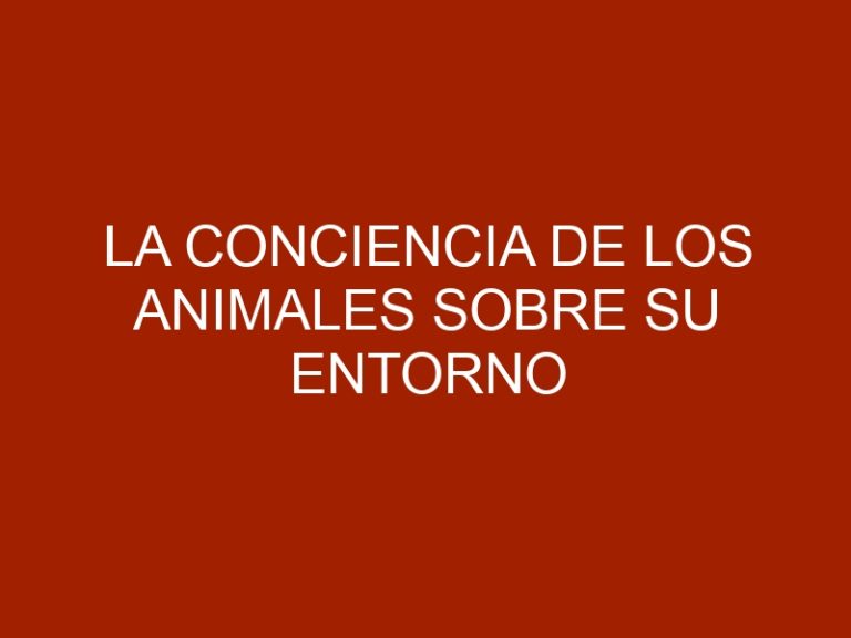 La conciencia de los animales sobre su entorno