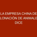 La empresa china de clonación de animales dice estar preparada para clonar humanos