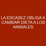 La escasez obliga a cambiar dieta a los animales del Bararida en Lara