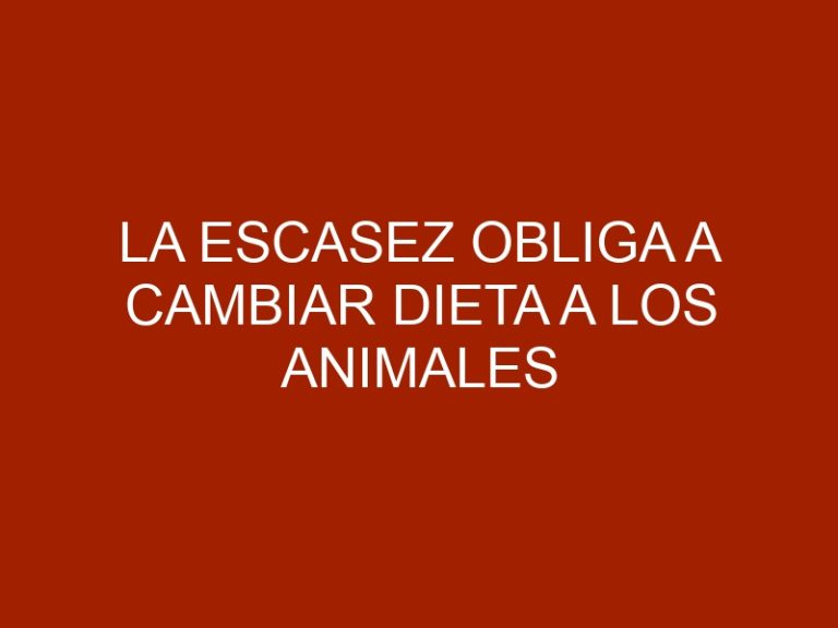 La escasez obliga a cambiar dieta a los animales del Bararida en Lara