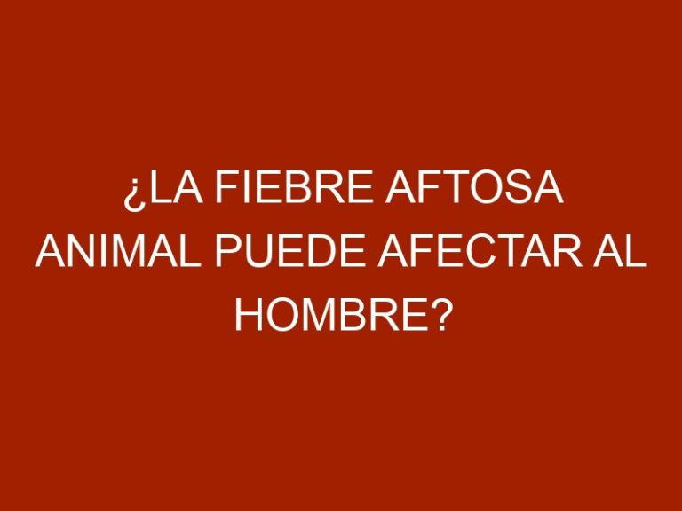¿La fiebre aftosa animal puede afectar al hombre?