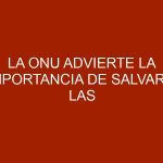 La ONU advierte la importancia de salvar a las abejas