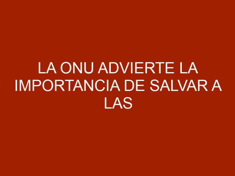 La ONU advierte la importancia de salvar a las abejas