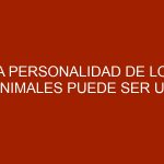 La personalidad de los animales puede ser un factor clave de supervivencia