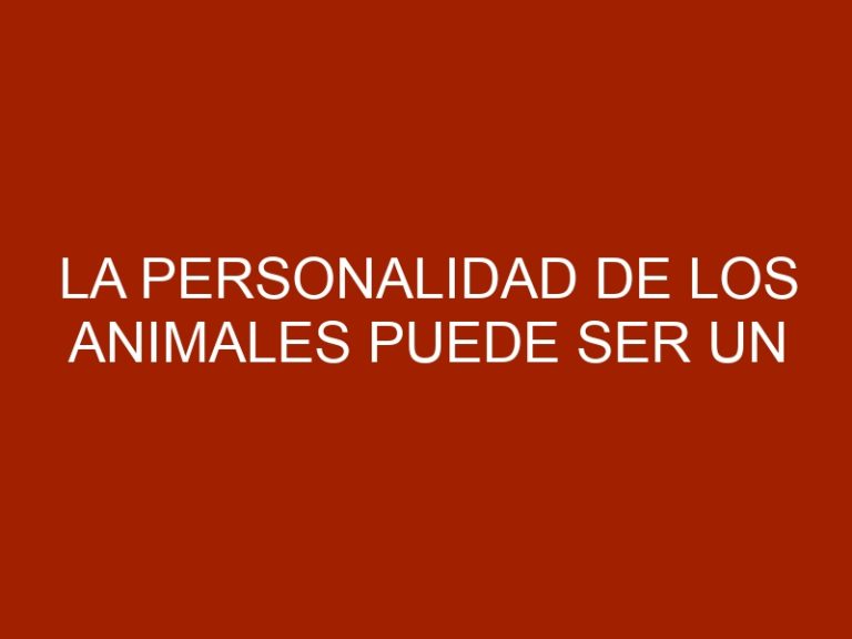 La personalidad de los animales puede ser un factor clave de supervivencia