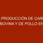 La producción de carne bovina y de pollo en Zulia palidece