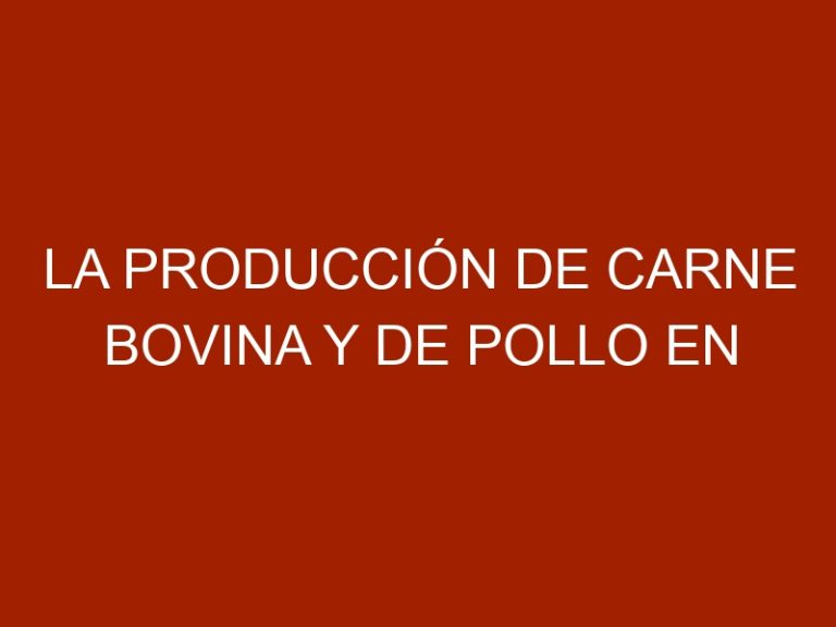 La producción de carne bovina y de pollo en Zulia palidece