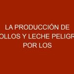 La producción de pollos y leche peligra por los apagones