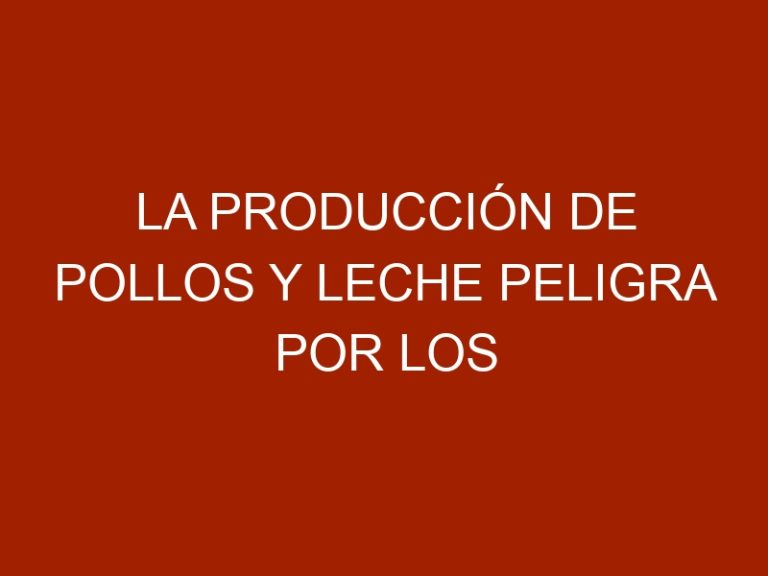 La producción de pollos y leche peligra por los apagones