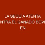 La sequía atenta contra el ganado bovino en Venezuela