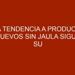 La tendencia a producir huevos sin jaula sigue su avance