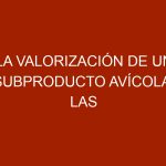 La valorización de un subproducto avícola: las plumas