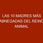 Las 10 madres más abnegadas del reino animal