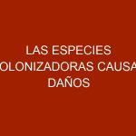 Las especies colonizadoras causan daños irreparables