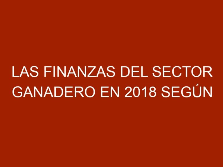 Las finanzas del sector ganadero en 2018 según Gerardo Mendoza