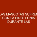 Las mascotas sufren con la pirotecnia durante las fiestas
