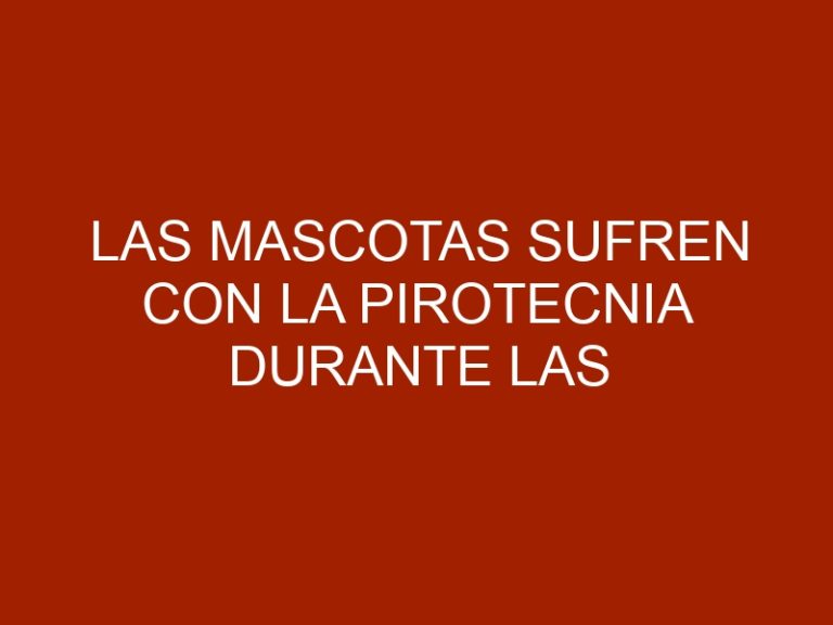 Las mascotas sufren con la pirotecnia durante las fiestas
