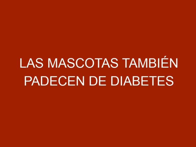 Las mascotas también padecen de diabetes