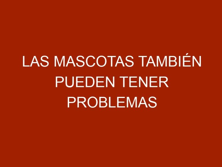 Las mascotas también pueden tener problemas emocionales