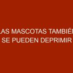 Las mascotas también se pueden deprimir