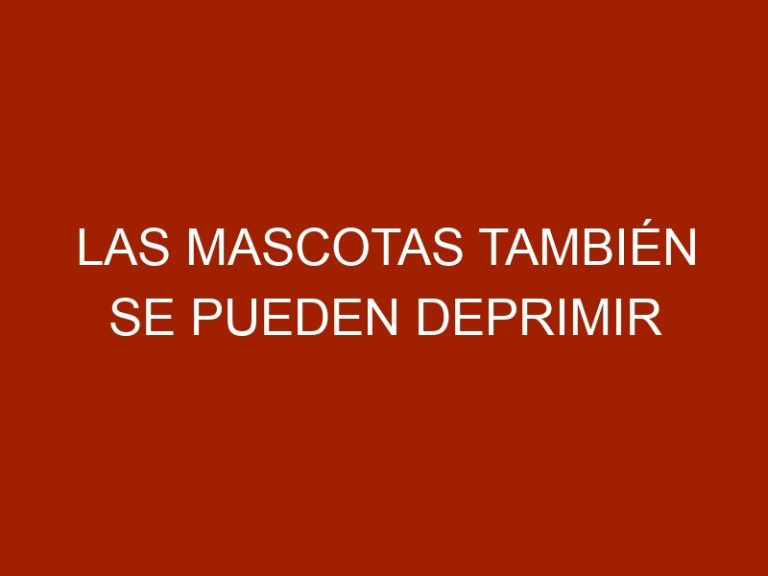 Las mascotas también se pueden deprimir