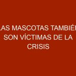 Las mascotas también son víctimas de la crisis en Venezuela