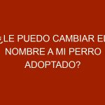 ¿Le puedo cambiar el nombre a mi perro adoptado?