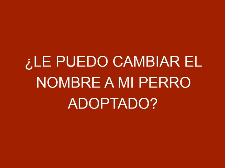 ¿Le puedo cambiar el nombre a mi perro adoptado?