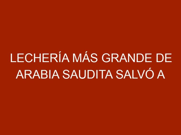 Lechería más grande de Arabia Saudita salvó a sus vacas con alfalfa